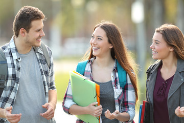 Wall Mural - Students walking and talking in a campus