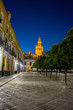 The Giralda bell tower lit up at night in Seville, Spain, Europe