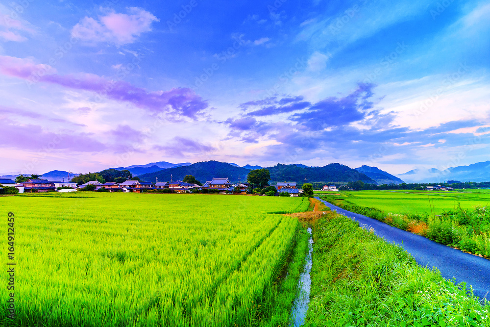 田園風景 田舎の景色 の Stock フォト | Adobe Stock