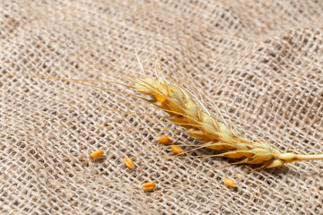 Wheat Ears on the Wooden Table