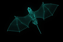 Dragon In Hologram Wireframe Style. Nice 3D Rendering
