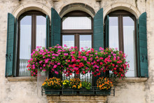 Detail Of A Building With Window And Flower Box In Venice, Italy