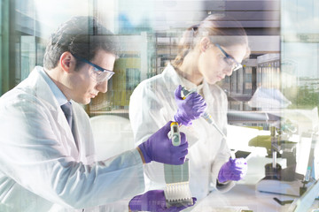 Poster - Life scientist researching in laboratory. Focused life science professionals pipetting master mix solution into the PCR 96 well micro plate using multi channel pipette. Healthcare and biotechnology.
