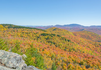 Wall Mural - Trees Show Their True Colors Across A Mountainous Landscape