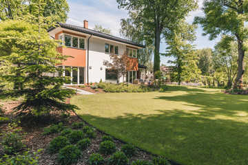 Wall Mural - Sunny outdoor and green lawn