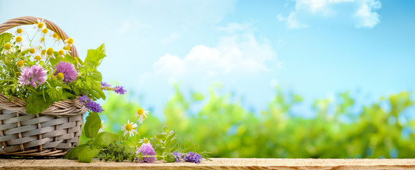 Wall Mural - Freshly harvested herbs