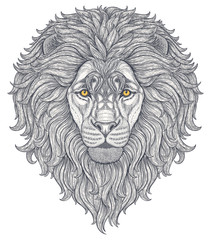 Wall Mural - Lion head hand drawn in lines isolated on white background. Decorative doodle vector illustration. Perfect for postcard, poster, print, greeting card, t-shirt, phone case design