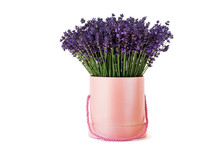 Pink Lavender Pot