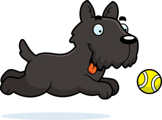 Canvas Print - Cartoon Scottie Chasing Ball