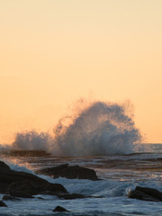 Canvas Print - splash of wave hitting rocks in golden hour light.