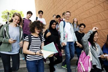 Wall Mural - Group of school friends walking down staircase