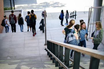 Wall Mural - group of school friends walking down staircase