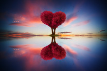 Abstract Image Of Lonely Red Color Leaf And Love Shape Tree At Sunrise Scene With Reflection In Water.