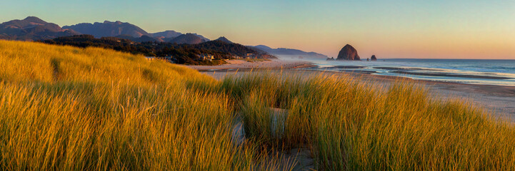 looking south to cannon beach and haystack rock in cannon beach, oregon