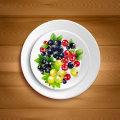 Sticker - Berry Plate Realistic Vector Illustration