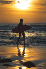 Surfer girl surfing looking at ocean beach sunset. Silhouett