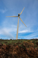 Poster - Serra da Lousã, Portugal