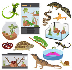 Poster - Pet appliance icon set flat style isolated on white. Reptiles and amphibians care collection. Create own infographic