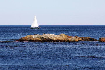 Wall Mural - Sailboat on the sea in Ogunquit Maine