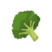 Broccoli Vegetable Fresh Farm Healthy Food