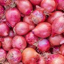 Organic Red Onions Closeup, Natural Background