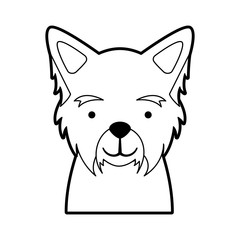 Poster - cute dog mascot icon vector illustration design