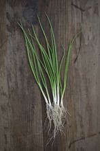 Fresh Picked Green Onions Shot Overhead On Wood Surface