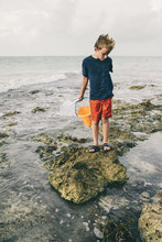Boy Catching Crabs On Rocky Shore