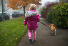 A Little Blonde Girl Takes Her Small Dog For A Walk.