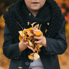 A Boy Holding A Handful Of Leaves