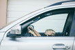 © Kelly Knox/Stocksy - boy pretends to drive a vehicle