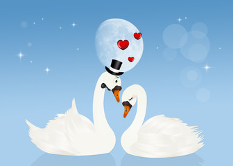 Sticker - swans in love in the moonlight