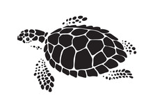 Graphic Sea Turtle, Vector