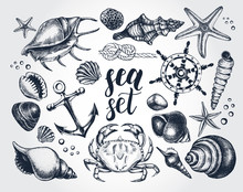 Ink Hand Drawn Set Of Marine And Nautical Elements. Sea Collection. Template For Cards, Banners, Posters Design. Vector Illustration.