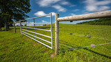 Fence and gate surrounding a country meadow on a sunny summer day