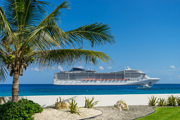 Cruise ship in crystal blue water with a palm on the front