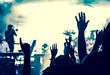 © Melinda Nagy - crowd with raised hands at concert - summer music festival