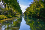 Fototapeta Las - Beautiful Canal du Midi, sycamore trees reflection in water, Southern France
