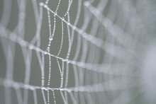 Close Up Of A Droplet Filled Spider Web With A Blurred Star Shape