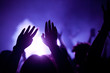 © Melinda Nagy - crowd with raised hands at concert - summer music festival