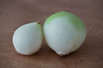 Onion