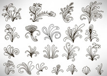 Set Of Black Doodle Floral Elements With Flowers, Curls, Branches And Leaves Isolated On White Background. Damask Elements, Calligraphic Shapes. Vector Illustration.