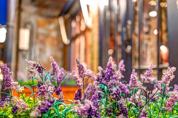 Closeup of fake cloth purple lavender flowers as decoration by store during summer