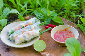 Poster - Vietnamese spring rolls