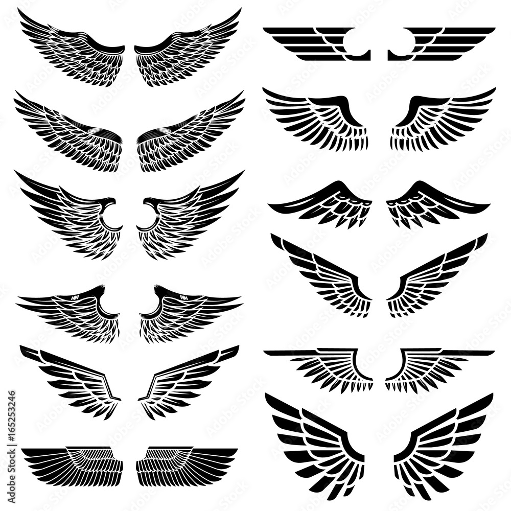 Set of the wings isolated on white background. Design elements for logo ...
