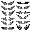 Set of the wings isolated on white background. Design elements for logo, label, emblem, sign, badge. Vector illustration