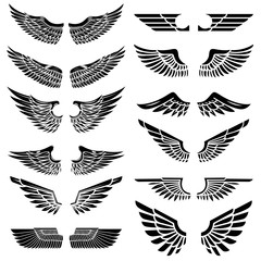 set of the wings isolated on white background. design elements for logo, label, emblem, sign, badge.