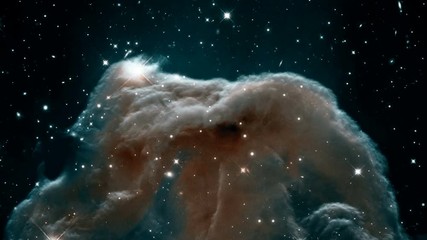 Wall Mural - flight into the horsehead nebula