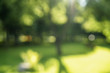 © GCapture - abstract blurred background of trees in park in sunny summer day