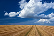 © fotowunsch - stubbelfield after harvest on sunny day